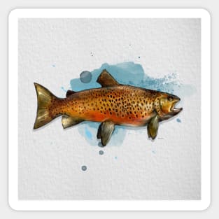 Swedish Brown Trout Sticker